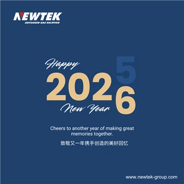 NEWTEK ग्रुप 2026 नए साल के दिन का संबोधन: घोड़े के वर्ष में गैस समाधान को आग...